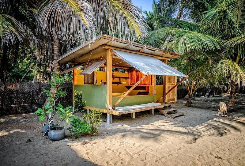 Kite House Cafe Bed & Breakfast คัลพิทิยา ภายนอก รูปภาพ