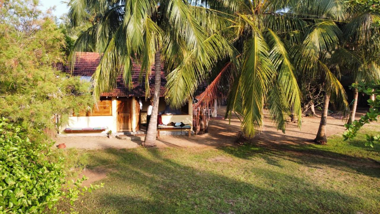 Kite House Cafe Bed & Breakfast คัลพิทิยา ภายนอก รูปภาพ