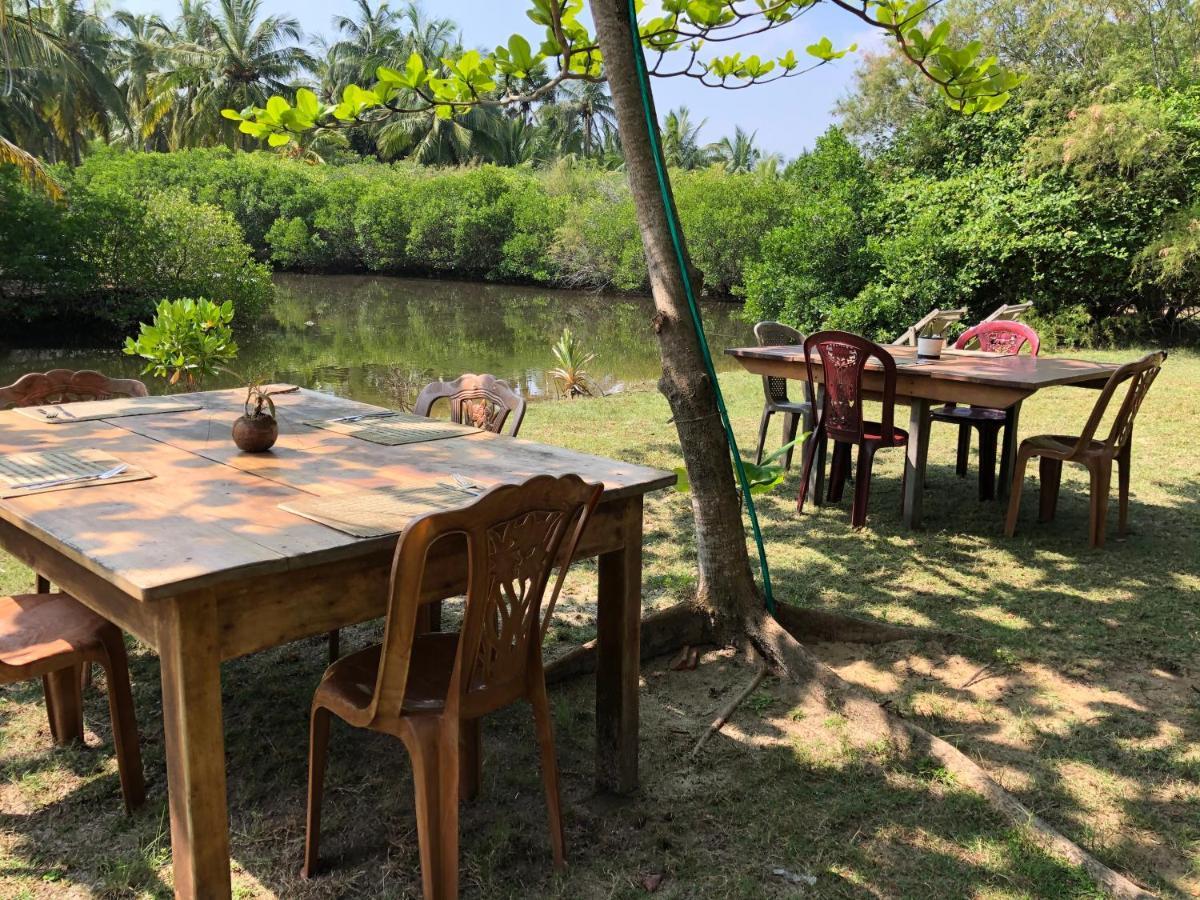 Kite House Cafe Bed & Breakfast คัลพิทิยา ภายนอก รูปภาพ